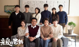 家庭的电视剧有哪些,盘点那些让人泪目的家庭电视剧