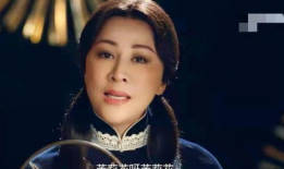 刘嘉玲电视剧,演绎传奇人生，电视剧中的璀璨星光