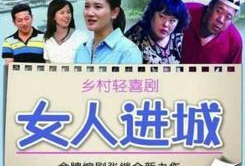 女人进城电视剧演员表,实力派明星齐聚演绎都市女性奋斗传奇